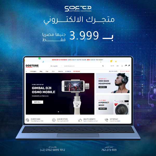 GoStore – Simple & Effective Online Store